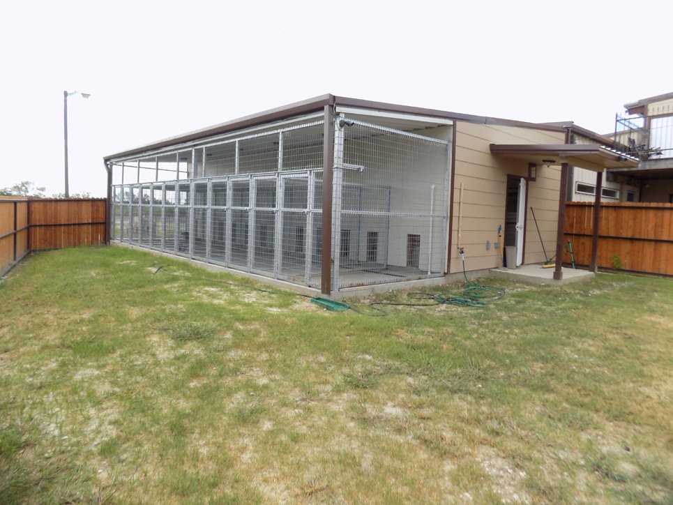 The outside area included in the kennels for dogs